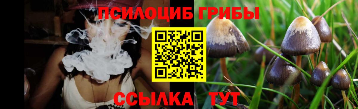 Галлюциногенные грибы мицелий  Вход с VPN  Тулун 